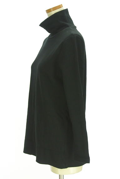 クリックで大画像表示 antiqua(アンティカ)の古着「ハイネックリブカットソー(ニット)」大画像3へ