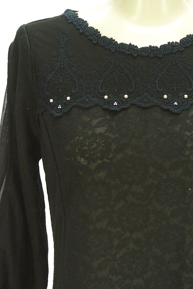 axes femme（アクシーズファム）の古着「シアーレース柄ニット（カットソー・プルオーバー）」大画像４へ