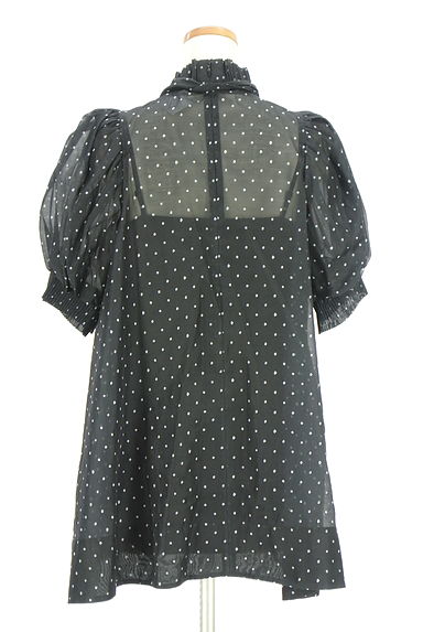 クリックで大画像表示 CELFORD(セルフォード)の古着「パフスリーブドット柄シアーカットソー(カットソー・プルオーバー)」大画像2へ