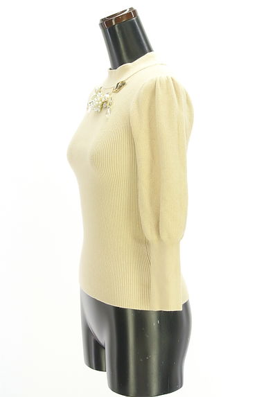 クリックで大画像表示 Snidel(スナイデル)の古着「ビジュー付きモックネックリブニットトップス(ニット)」大画像3へ