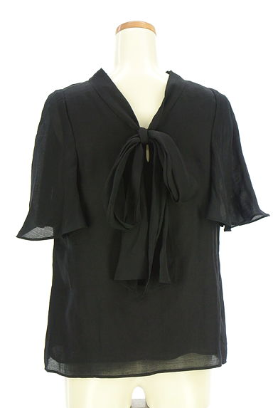 クリックで大画像表示 Mystrada(マイストラーダ)の古着「前後着シアーブラウス(カットソー・プルオーバー)」大画像2へ