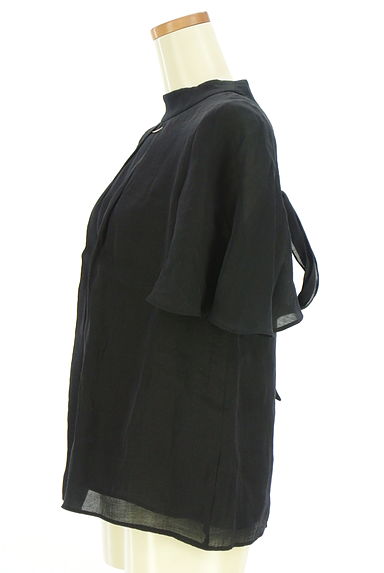 クリックで大画像表示 Mystrada(マイストラーダ)の古着「前後着シアーブラウス(カットソー・プルオーバー)」大画像3へ