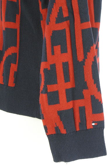 クリックで大画像表示 TOMMY HILFIGER(トミーヒルフィガー)の古着「Vネックロゴ総柄ニットトップス(ニット)」大画像5へ
