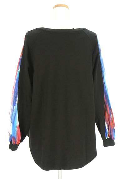 OSMOSIS（オズモーシス）の古着「loaf 袖別地切替スウェットトップス（スウェット・パーカー）」大画像２へ