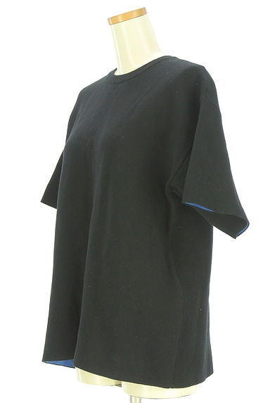 クリックで大画像表示 Mila Owen(ミラオーウェン)の古着「裏地バイカラー半袖ニットトップス(ニット)」大画像3へ