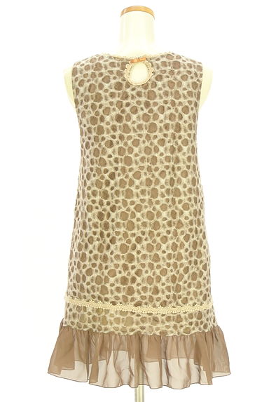 axes femme（アクシーズファム）の古着「起毛レースチュニック（ワンピース・チュニック）」大画像２へ