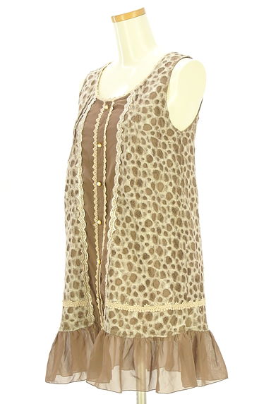 axes femme（アクシーズファム）の古着「起毛レースチュニック（ワンピース・チュニック）」大画像３へ