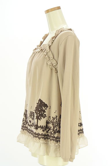 axes femme（アクシーズファム）の古着「フロッキープリントカットソー（カットソー・プルオーバー）」大画像３へ