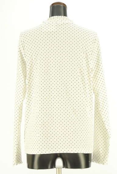 クリックで大画像表示 studio CLIP(スタディオクリップ)の古着「ドット柄カットソー(カットソー・プルオーバー)」大画像2へ