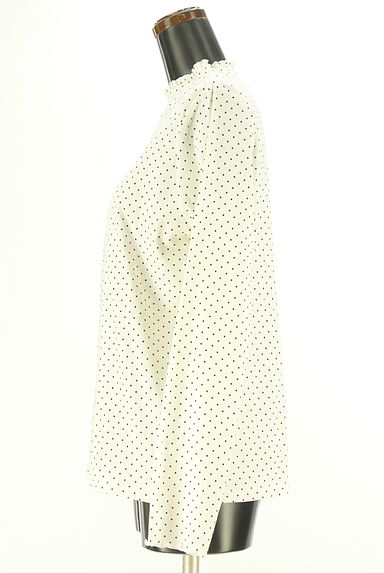 クリックで大画像表示 studio CLIP(スタディオクリップ)の古着「ドット柄カットソー(カットソー・プルオーバー)」大画像3へ