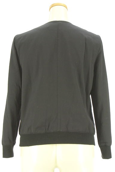 LAUTREAMONT（ロートレアモン）の古着「Vネックブルゾン（ブルゾン・スタジャン）」大画像２へ