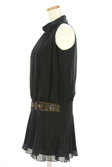 GRACE CONTINENTAL（グレースコンチネンタル）の古着「ビーズ刺繍シフォンチュニック（カットソー・プルオーバー）」大画像３へ