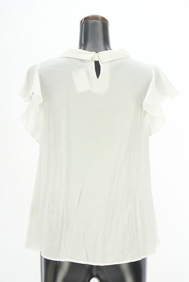 NATURAL BEAUTY BASIC（ナチュラルビューティベーシック）トップス買取実績の後画像