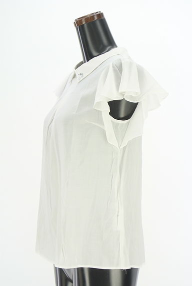 NATURAL BEAUTY BASIC（ナチュラルビューティベーシック）の古着「フリルスリーブシアーブラウス（カットソー・プルオーバー）」大画像３へ