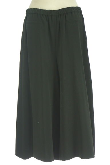 HIROKO BIS（ヒロコビス）の古着「アンクル丈ボリュームワイドパンツ（パンツ）」大画像２へ