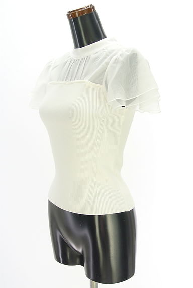 MISCH MASCH（ミッシュマッシュ）の古着「シアー切替リブニット（カットソー・プルオーバー）」大画像３へ