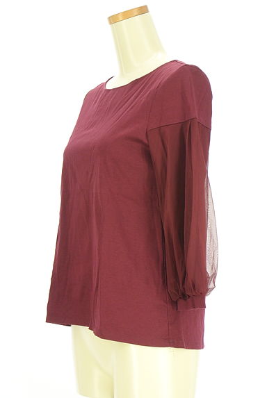 クリックで大画像表示 UNTITLED(アンタイトル)の古着「チュール袖カットソー(カットソー・プルオーバー)」大画像3へ