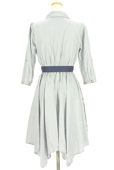 axes femme（アクシーズファム）の古着「ペイズリー柄付きアシンメトリーシャツワンピース（ワンピース・チュニック）」大画像２へ