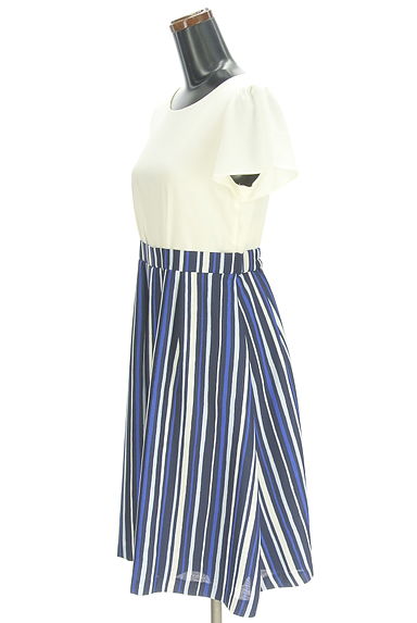 クリックで大画像表示 anySiS(エニィスィス)の古着「ストライプ切替膝下ワンピース(ワンピース・チュニック)」大画像3へ