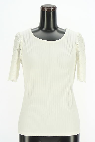 PROPORTION BODY DRESSING（プロポーションボディドレッシング）トップス買取実績の前画像