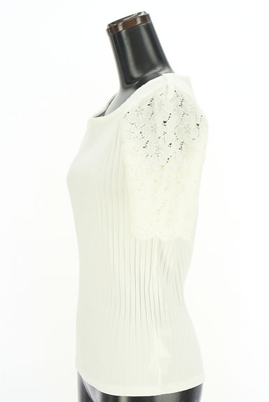 PROPORTION BODY DRESSING（プロポーションボディドレッシング）の古着「レース袖リブニット（ニット）」大画像３へ
