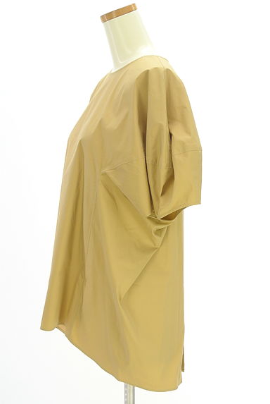 Droite lautreamont（ドロワットロートレアモン）の古着「ボリューム袖ブラウス（カットソー・プルオーバー）」大画像３へ