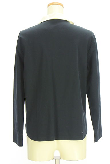 HUMAN WOMAN（ヒューマンウーマン）の古着「付け襟ストレッチカットソー（カットソー・プルオーバー）」大画像２へ