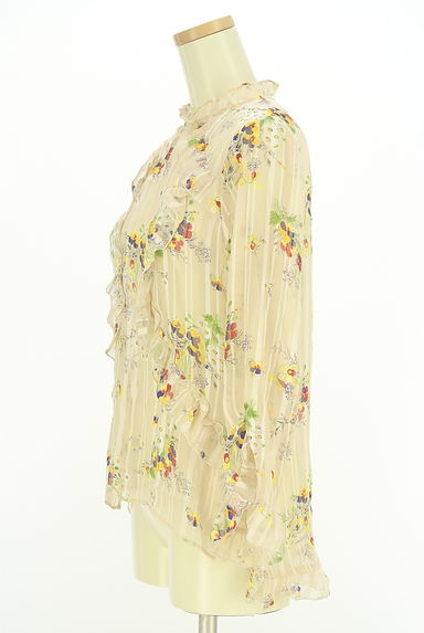 DEICY（デイシー）の古着「ストライプ×花柄シアーブラウス（カットソー・プルオーバー）」大画像３へ