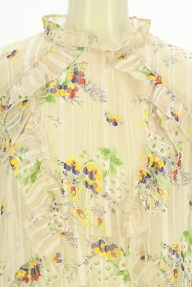 DEICY（デイシー）の古着「ストライプ×花柄シアーブラウス（カットソー・プルオーバー）」大画像４へ