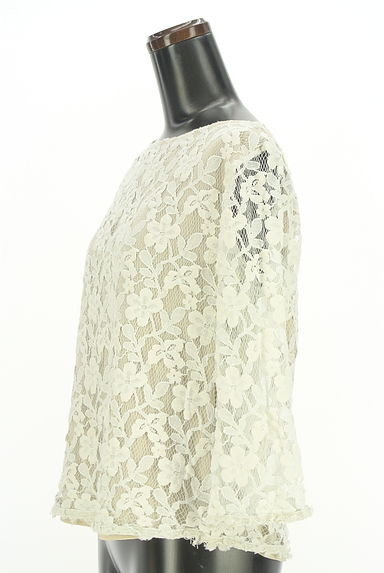 DEICY（デイシー）の古着「7分袖総レースブラウス（カットソー・プルオーバー）」大画像３へ