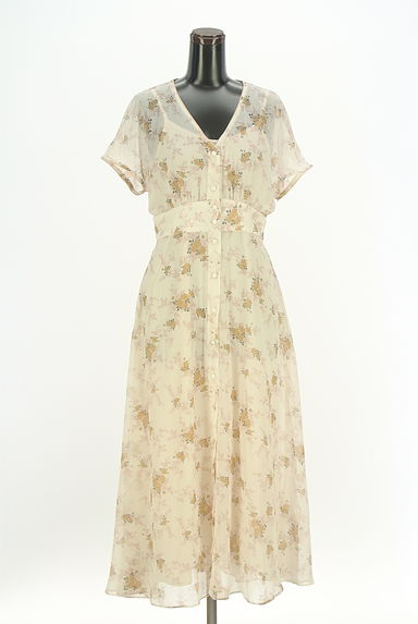 DEICY（デイシー）の古着「花柄ロングシアーワンピース（ワンピース・チュニック）」大画像１へ