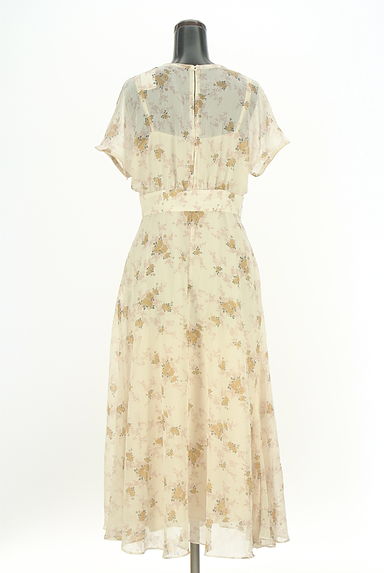 DEICY（デイシー）の古着「花柄ロングシアーワンピース（ワンピース・チュニック）」大画像２へ