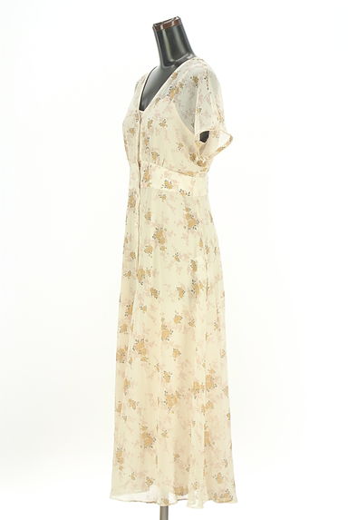 DEICY（デイシー）の古着「花柄ロングシアーワンピース（ワンピース・チュニック）」大画像３へ