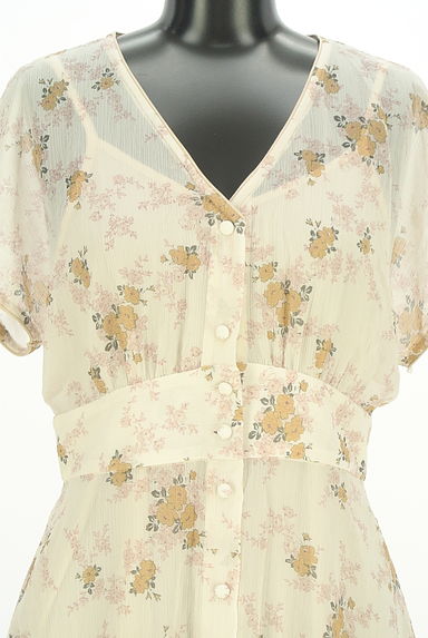 DEICY（デイシー）の古着「花柄ロングシアーワンピース（ワンピース・チュニック）」大画像４へ