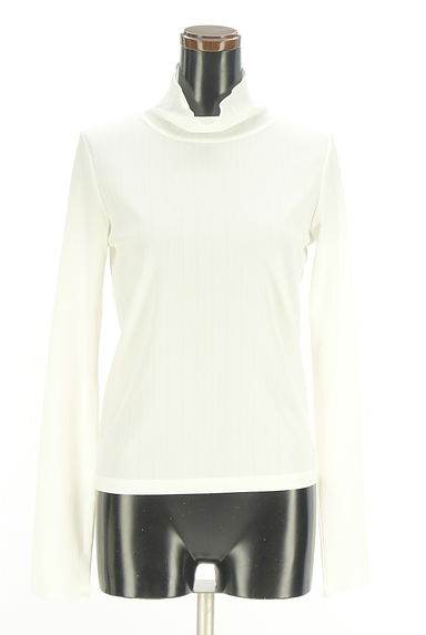 クリックで大画像表示 NATURAL BEAUTY BASIC(ナチュラルビューティベーシック)の古着「ハイネックシアーカットソー(カットソー・プルオーバー)」大画像1へ