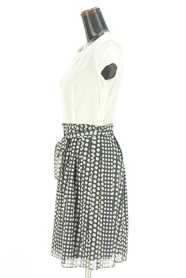 クリックで大画像表示 組曲(クミキョク)の古着「ドット柄シフォン切替半袖ワンピース(ワンピース・チュニック)」大画像3へ