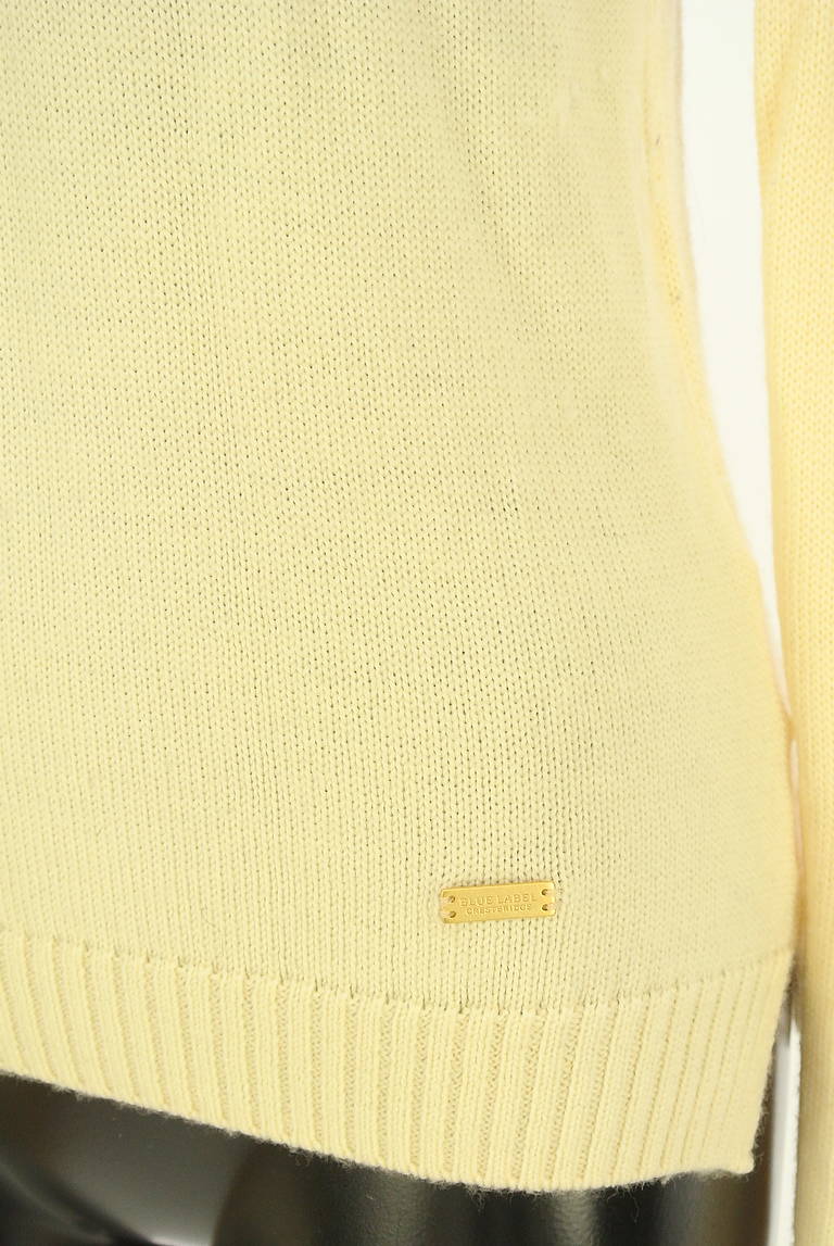 BLUE LABEL CRESTBRIDGE（ブルーレーベル・クレストブリッジ）の古着「商品番号：PR10336239」-大画像5