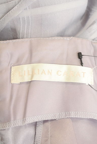 LILLIAN CARAT（リリアンカラット）の古着「チェック柄シアーロングスカート（ロングスカート・マキシスカート）」大画像６へ