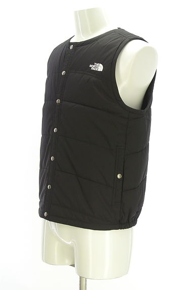 クリックで大画像表示 The North Face(ザノースフェイス)の古着「中綿ナイロンベスト(ブルゾン・スタジャン)」大画像3へ