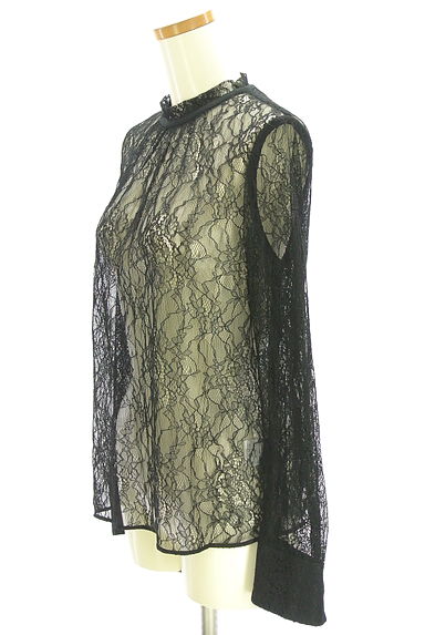 Pinky＆Dianne（ピンキー＆ダイアン）の古着「総レースブラウス（カットソー・プルオーバー）」大画像３へ