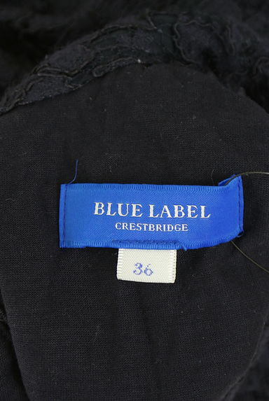 クリックで大画像表示 BLUE LABEL CRESTBRIDGE(ブルーレーベル・クレストブリッジ)の古着「総レースブラウス(カットソー・プルオーバー)」大画像6へ