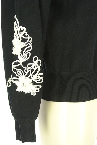 クリックで大画像表示 PROPORTION BODY DRESSING(プロポーションボディドレッシング)の古着「花刺繍ボリューム袖ニット(ニット)」大画像5へ