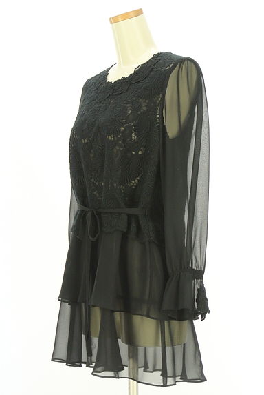 クリックで大画像表示 INGEBORG(インゲボルグ)の古着「レース切替シアーカットソー(カットソー・プルオーバー)」大画像3へ