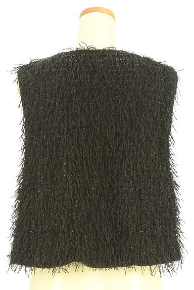 クリックで大画像表示 JEANASiS(ジーナシス)の古着「ラメ×フリンジジップベスト(ベスト・ジレ)」大画像2へ
