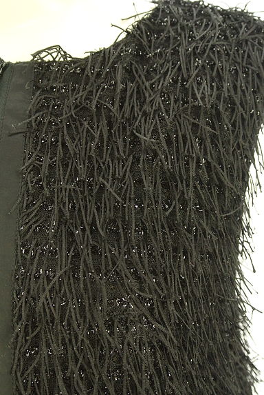 クリックで大画像表示 JEANASiS(ジーナシス)の古着「ラメ×フリンジジップベスト(ベスト・ジレ)」大画像5へ