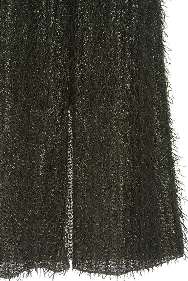 クリックで大画像表示 JEANASiS(ジーナシス)の古着「フリンジラメロングスカート(ロングスカート・マキシスカート)」大画像5へ