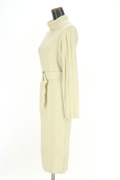 クリックで大画像表示 RESEXXY(リゼクシー)の古着「タートルネックリブニットワンピース(ワンピース・チュニック)」大画像3へ