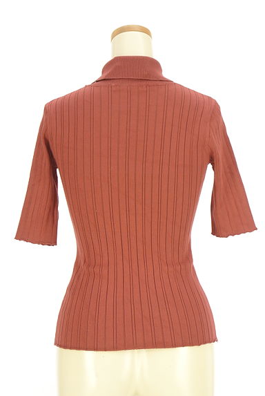 クリックで大画像表示 REDYAZEL(レディアゼル)の古着「半そでタートルネックリブニットトップス(ニット)」大画像2へ