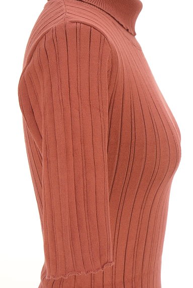 クリックで大画像表示 REDYAZEL(レディアゼル)の古着「半そでタートルネックリブニットトップス(ニット)」大画像5へ