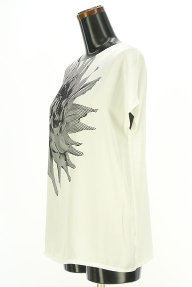 クリックで大画像表示 iCB(アイシービー)の古着「前後切替花プリントカットソー(カットソー・プルオーバー)」大画像3へ